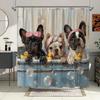 Cute French Bulldog Shower Curtain - Playful Bathing Scene, Fashion Glasses & Towels, Polyester, 12 Hooks, Whimsical Art