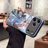 Changli Милый Чехол для Телефона Wuthering Waves Для IPhone 17 Air 16 E Pro Max 15 14 13 Mini 12 Pro 11 Max Plus Черная Стеклянная Крышка