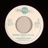 7inch Record CONSCIOUS MINDS - Suffering Through The Land  RIS004 Roots Internati 2007 UK Reggae, Ska & Dub Used