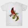 T Shirt Women Beautiful Vintage Loiseau Red Cardinal Bird Illust Harajuku Print Kawaii Tshirt Summer Short Sleeve Female T-Shirt Top Tee