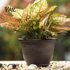 Large Succulent Containers Resin Flower Planters, Vintage Plant Pot with Drainage Hole & Saucer, Lightweight Indoor Outdoor for Outdoor, Retro