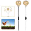 Automatic Chicken Feeder Toy With 3 Hole Dispenser Spring Mechanism For Poultry Entertainment Feeding Equipment