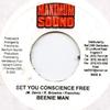 7-дюймовая пластинка BEenie MAN - Set You Conscience Free Maximum Sound 2005 Ямайка Регги, Ска и Даб