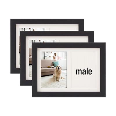 Эксклюзивная трансграничная мемориальная рамка с отпечатком лапы питомца для кошек и собак - Сделай сам украшение/фоторамка с отпечатком ручки и ножки младенца, для демонстрации или подвешивания