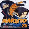 Naruto Vol. 25 by Masashi Kishimoto Paperback Book 9781421518619