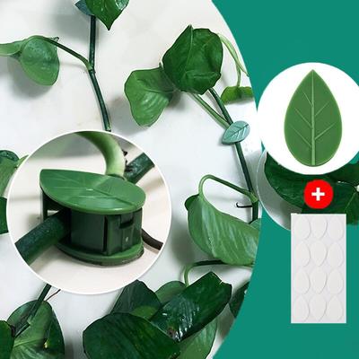 10 шт. фиксатор для скалолазания для растений, листовой тип, зеленое растение, невидимое фиксирующее устройство, зажим для виноградной лозы, защелка, тяговое формирование