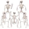 40CM Movable Joint Skeleton Prop – Halloween Hanging Decoration for Haunted House & Escape Room