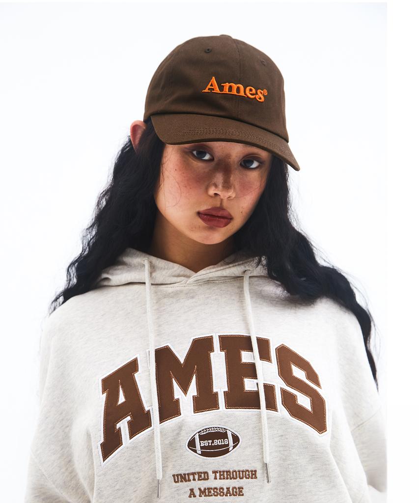 Кепка с базовым логотипом AMES-WORLDWIDE, коричневая