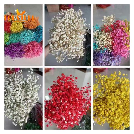 Букет эониума, сушеные цветы, яркий цвет, не выцветает, простота в уходе, натуральная сушеная гипсофила, сцена украшения ко Дню святого Валентина.