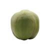 Lifelike Artificial Coconut Plastic Fake Coconut Fruit Creative Simulated Coconuts  Weddings