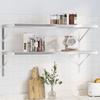 VidaXL Wall Shelves 2 Pcs 100x40x3 Cm Silver Stainless Steel, Floating Shelf, Wall Display Shelf, Panel 30278