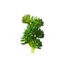 Yousheng 1Pc Artificial Succulent Plant Flocking Flower DIY Home Office Bonsai Decoration