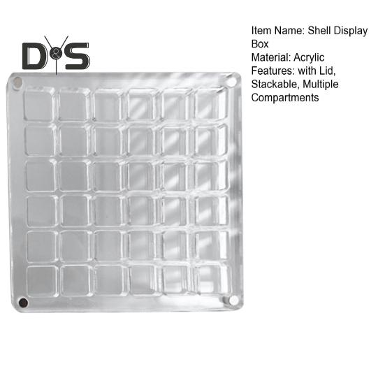 Acrylic Magnetic Seashell Display Box 36/64/100 Grids Square Small Crafts Natural Stone Nail Art Bead Charm Jewelry Show Organizer Container Case