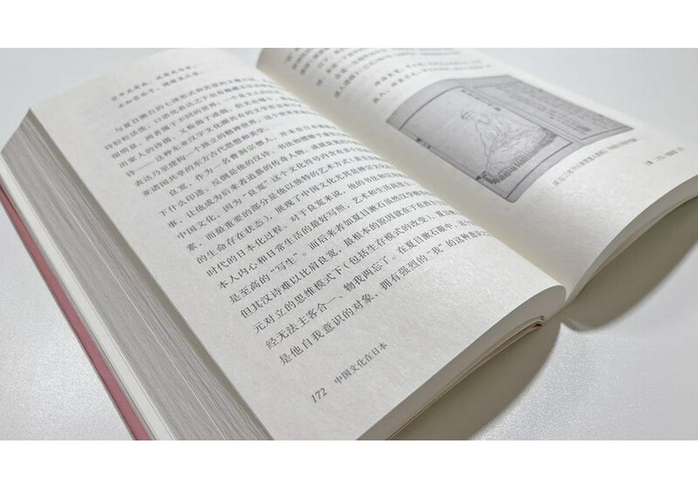 Книга "Чистая китайская культура в Японии"