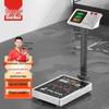 Дунмэй Водонепроницаемые Коммерческие Электронные Напольные Весы