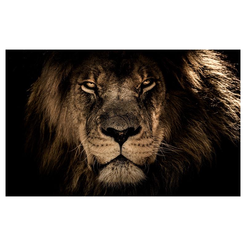 Африканский дикий тигр картины на холсте постеры и принты настенное искусство декоративные картины для гостиной домашний декор куадрос