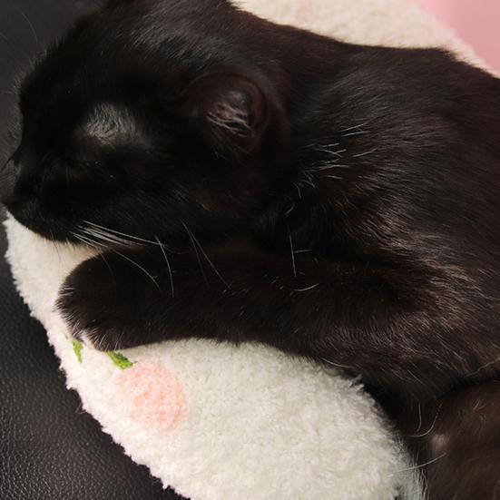 Успокаивающая подушка для питомцев Мягкая подушка-кровать для собак U-образной формы с поддержкой шеи Плюшевая пушистая подушка-полупончик Подушка для питомцев для маленьких собак кошек