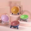 Raised Tilted Elevated Bowl Pet Cats Food Water Dish Backflow Prevention Feeding Dispenser Container