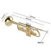 Trumpet Bb Flat Brass Gold-painted Exquisite Durable Musical Instrument with Mouthpiece Gloves