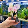 Lotus Leaf Fish Tank Accessory Aquarium Artificial Plant Ornament, Soft Silicone Leaves, Suction Cup Glow Decoration in The Dark Safe for Shrimp Decor