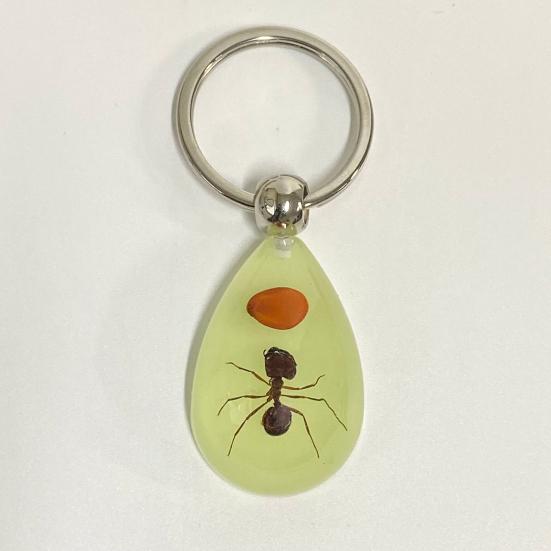 Брелок Подвеска Декоративная Изысканная Светящаяся в Темноте Крабы Муравьи Паук Скорпион Кольцо для Ключей Подвеска для Мужчин