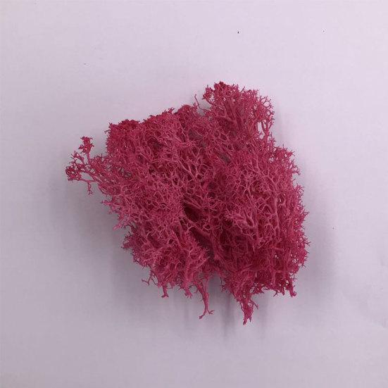 Искусственное растение консервированный цветок олений мох DIY Craft Garden Home Decor