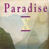 12-дюймовая пластинка PARADISE X - 2 Much MWS019T ВАУ! Мистер. Режим R 1990 Великобритания Танцевальная и Электронная Музыка Б/У