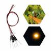 Pack of 20 Yellow SMD 0603 Chip LEDs with Wiring and Resistor Included, for Model Trains, Railways, Buildings, and Dioramas (L0603Y-20-NJP)