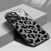 Белый Флэш Леопардовый Узор Закаленное Стекло Чехол Для Телефона Для iPhone 17 16 15 14 13 12 11 Pro Max 16E 17Air 7 8 Plus XR XS X Чехол