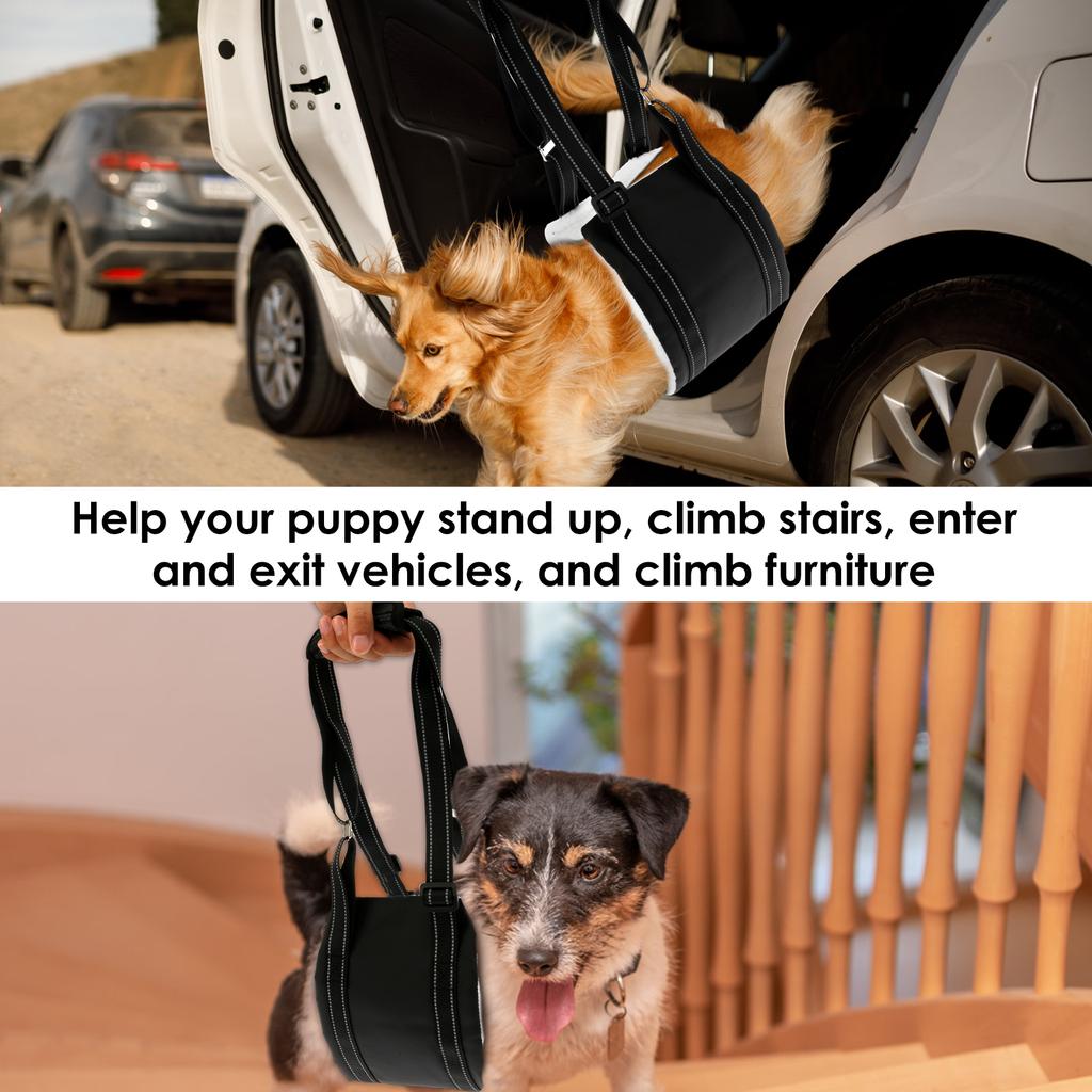 Adjustable Dog Sling for Back Legs Dog Lift Rehab Harness for Old,Injured Canine Aid & After ACL Surgery Ligament Rehabilitation