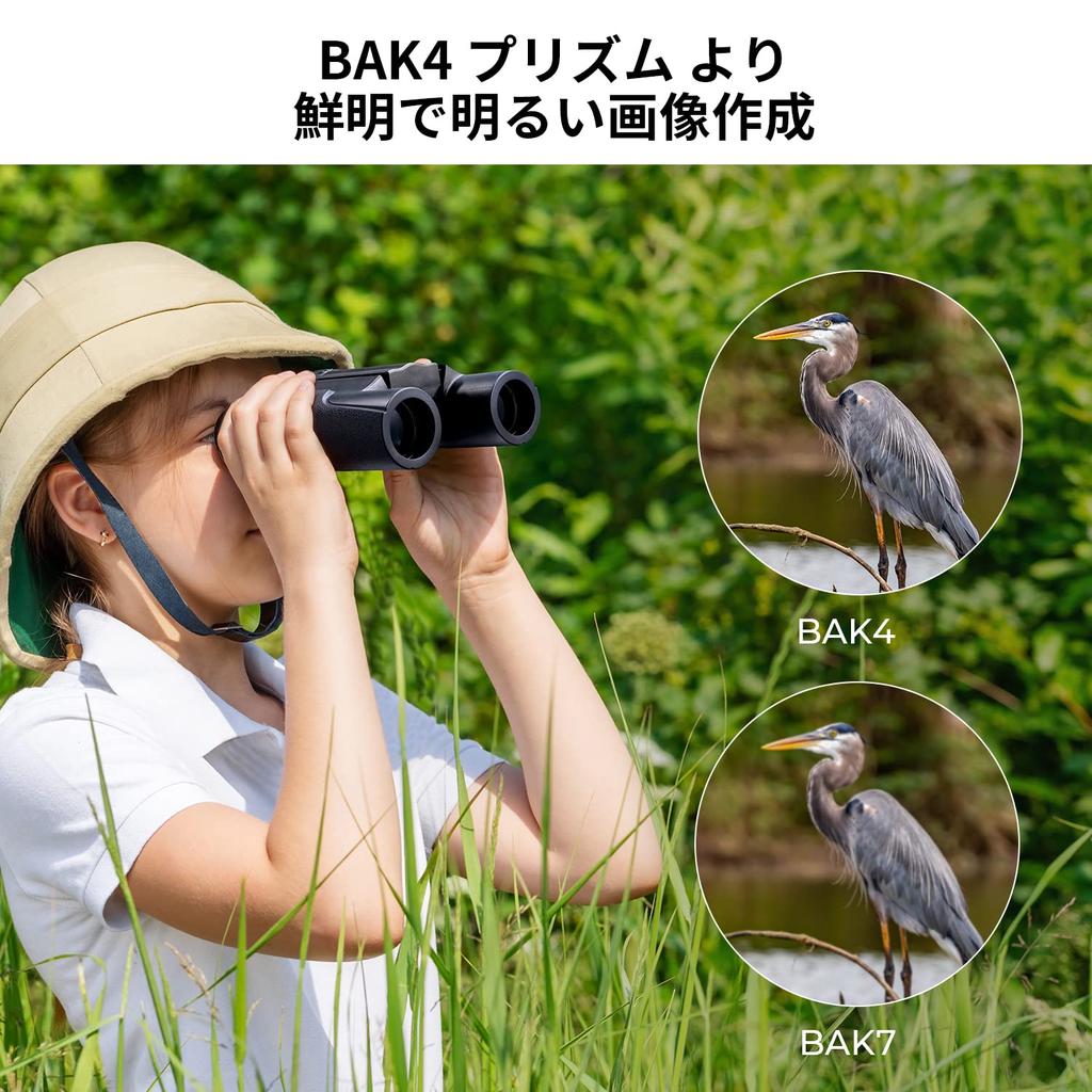 Концепция 10x для живого телескопа с большим увеличением, призма, многослойное покрытие, водонепроницаемый, подходит для спорта, птиц, гор, японская инструкция, хранение