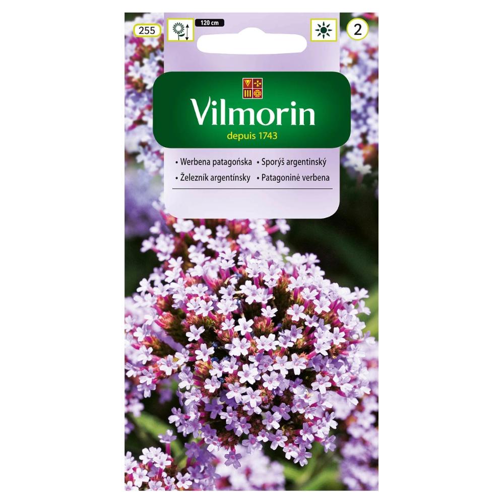 Семена патагонской вербены 0,3г - VILMORIN