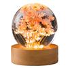 Cute Night Light with Woodern Base Forever Flowers Crystal Ball Light Office Home Decor Gifts for Men Women Kids Boys Girls