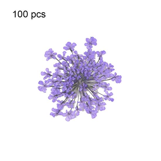 100шт прессованный сушеный цветок Ammi Majus из эпоксидной смолы для ногтей DIY Декор для телефона