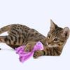 Игрушка для кошек Милая плюшевая кошачья мята Осьминог Коренной жезл Устойчивая к укусам игрушка-дразнилка для кошек Игрушка для лизания котят Подарок для снятия беспокойства