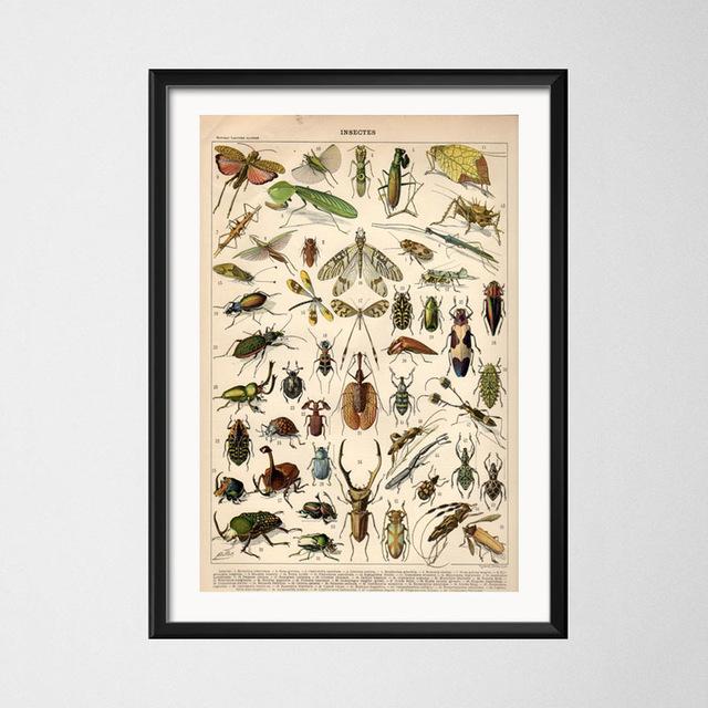 Винтажный стиль плакаты бабочка насекомое холст картины постеры и принты настенная художественная картина для гостиной домашний декор Cuadros