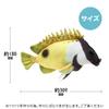 Fish Mascot Collection: Lifelike Fish Cushion, Cute and Fun Sea Creature (Shrimp Rabbitfish)