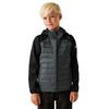 Childrens/Kids Kielder IX Hybrid Jacket