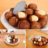 1-4pcs/set Mini Nut Crackers Stainless Steel Macadamia Walnut Opener Portable Camping Kitchen Accessories Nut Tools