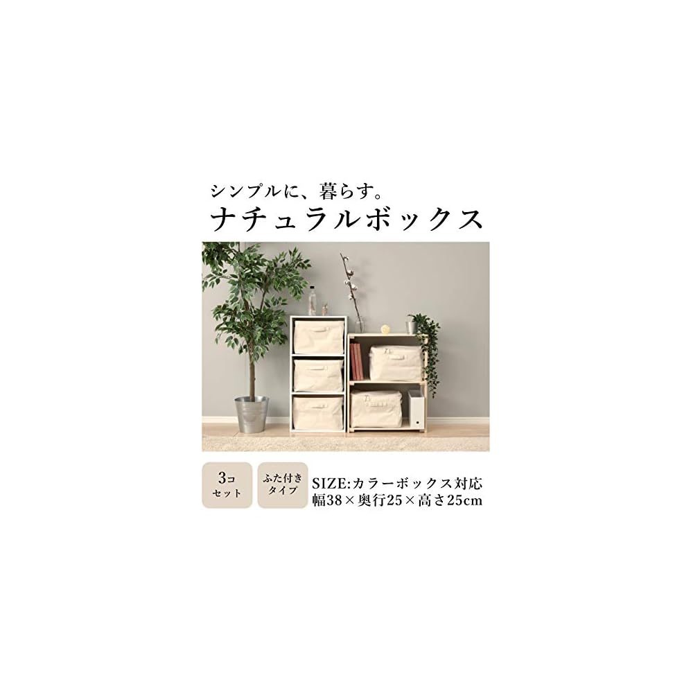YAMAZEN Storage Box with Lid, Set of 3, Compatible with Color Boxes, Wipeable Interior, Foldable,