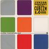 12-дюймовая пластинка JUNIOR SANCHEZ - Executes Cubizm 1.0 CUB01 Cube Recordings 2000 США Танцевальная и Электронная Б/У