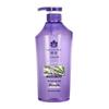 Fenghua Oil Control Volumizing Shampoo