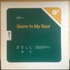 12-дюймовая пластинка KAMASUTRA - Storm In My Soul 33 об/мин S3 1996 Великобритания Танцевальная и электронная Б/У