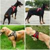 Solid Middle Large Dog Halter Harness Reflective Led Collar Reinforced Handle Breathable Mesh Vest Buckle Leads Pet Accessories
