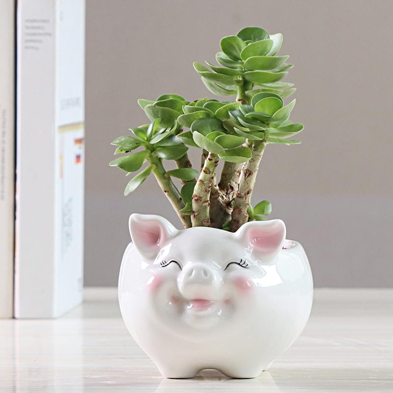 1 шт., украшение в виде свиньи, вырезанный цветочный горшок, S/M/L, цветочный горшок, садовые принадлежности, горшок для суккулентных растений, керамический