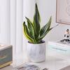 Ekirlin Flower with Drainage Potted Room Marble Pattern Pot, Planter, No. 6, 14.2cm, Hole, Stylish, Pot, Plant, Interior, Decoration, Houseplant,