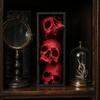Скелетная закладка для книг, Уголок с черепами, Готическая вставка-череп для книжной полки, 3-уровневая скульптура, Акцент для полки в стиле Dark Academia с черной рамкой, Жуткая