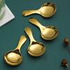Salt Spoon Short Handle Food Graded Stainless Steel Reusable Mini Dessert Spoon for Home
