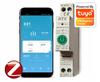 RTX TUYA 50A DIN ZigBee Current Meter Relay
