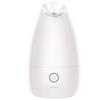 K·SKIN Nano Ionic Hot Mist Facial Steamer